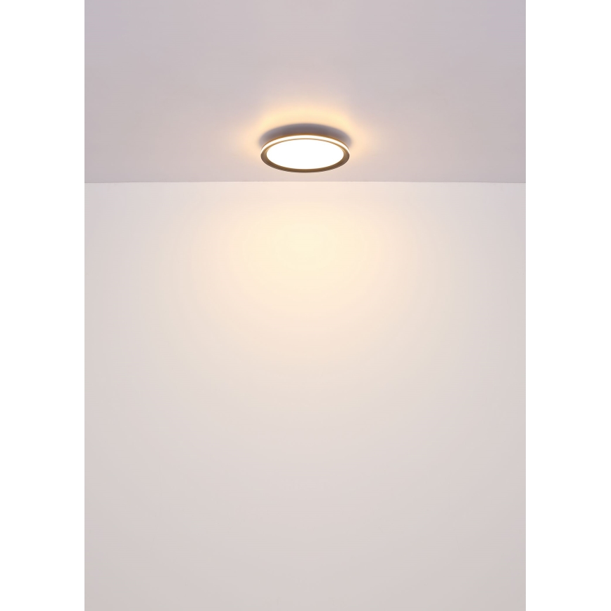 Globo - LED Ceiling light LED/30W/230V d. 30 cm