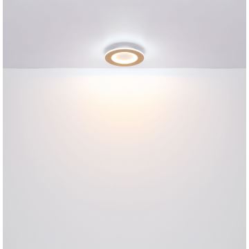 Globo - LED Ceiling light LED/23W/230V 2700/6500K