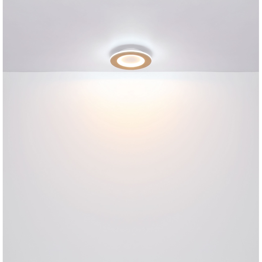 Globo - LED Ceiling light LED/23W/230V 2700/6500K