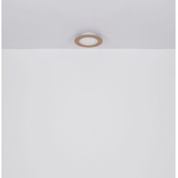 Globo - LED Ceiling light LED/23W/230V 2700/6500K