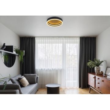 Globo - LED Ceiling light LED/24W/230V d. 30 cm black