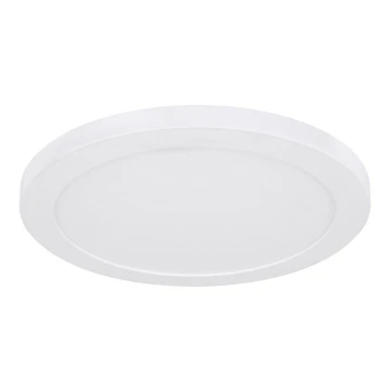 Globo - LED Ceiling light LED/24W/230V 3000/4000/6500K white