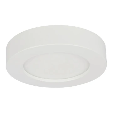 Globo - LED Dimmable bathroom light LED/18W/230V 3000/4000/6000K IP44