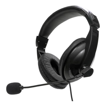 Headphones with a microphone USB black