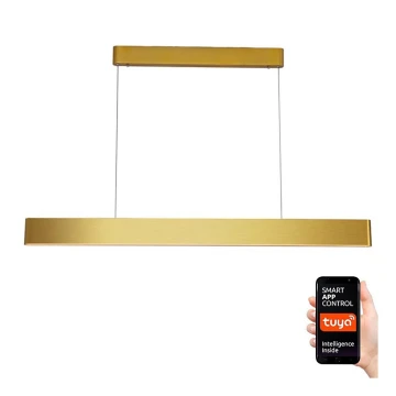 Immax NEO 07157-G120X - LED RGB+CCTW Dimmable chandelier on a string MILANO LED/40W/230V Tuya gold