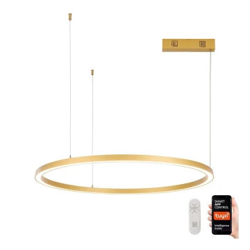 Immax NEO 07217L - LED Dimmable chandelier on a string FINO LED/60W/230V 80 cm gold Tuya + remote control