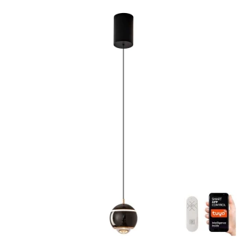 Immax NEO 07220L - LED Dimmable chandelier on a string DORMINE LED/6W/230V shiny black Tuya + remote control
