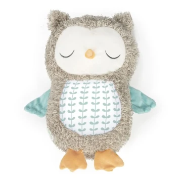 Ingenuity - Musical plush toy NALLY owl