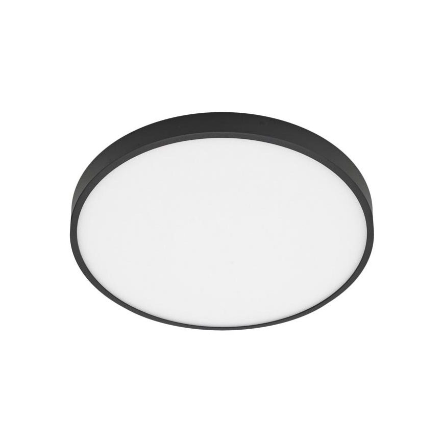 ITALUX - LED Ceiling light RIBERIO LED/30W/230V 3000K black