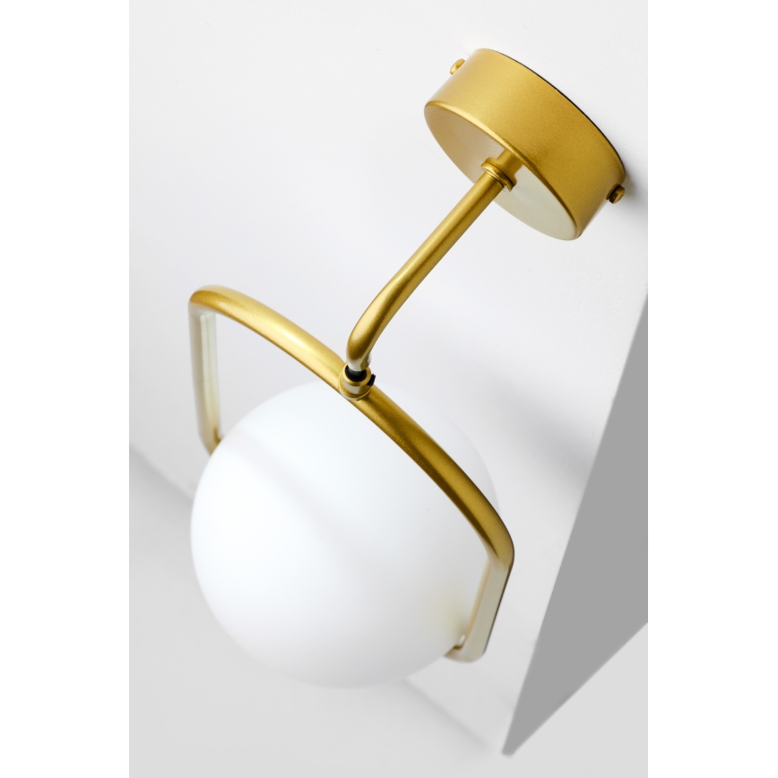 Jupiter 2043 - Wall lamp IGON 1xE14/40W/230V gold