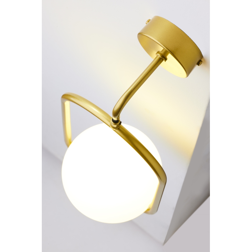 Jupiter 2043 - Wall lamp IGON 1xE14/40W/230V gold