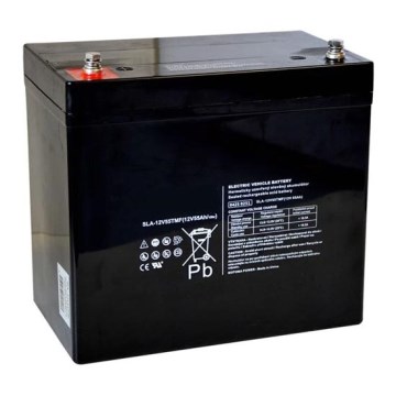 Lead-acid battery VRLA AGM 12V/55Ah