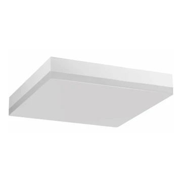 LED Bathroom ceiling light LED/24W/230V 4000K 28 cm IP44