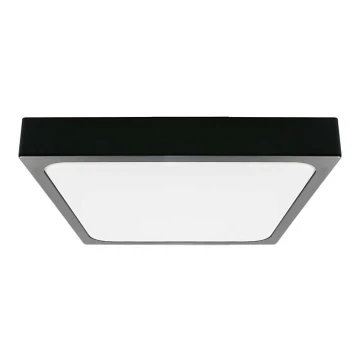 LED Bathroom ceiling light LED/30W/230V 6500K IP44 black