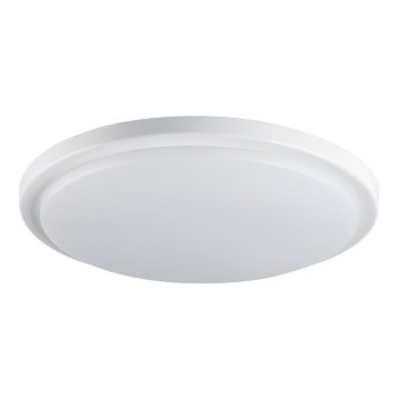 LED Bathroom ceiling light ORTE LED/24W/230V IP54