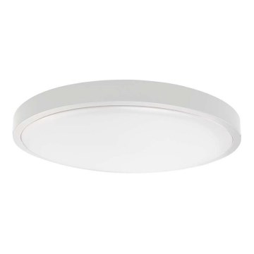 LED Bathroom ceiling light SAMSUNG CHIP LED/18W/230V IP44 6500K d. 25 cm white