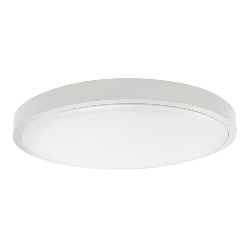 LED Bathroom ceiling light SAMSUNG CHIP LED/24W/230V IP44 6500K d. 29 cm white