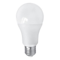 LED Bulb PITT A60 AC/DC E27/12W/24V 4000K