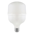 LED Bulb T100 E27/30W/230V 4000K