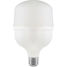 LED Bulb T100 E27/30W/230V 6500K