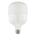 LED Bulb T80 E27/20W/230V 6500K