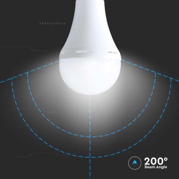 LED Bulb with emergency mode A80 E27/12W/230V 4000K