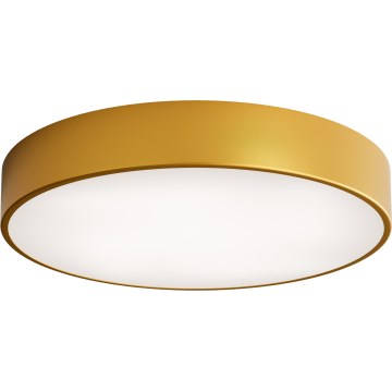 LED Ceiling light CLEO LED/69W/230V 3000K d. 50 cm gold