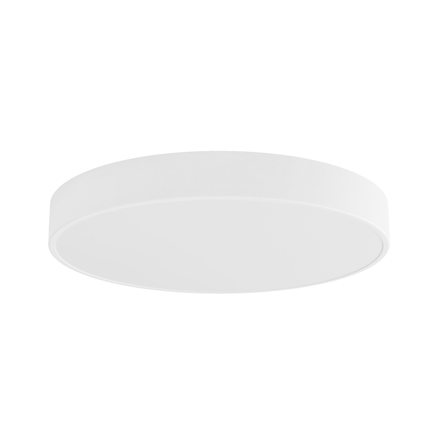 LED Ceiling light CLEO LED/69W/230V 3000K d. 60 cm white