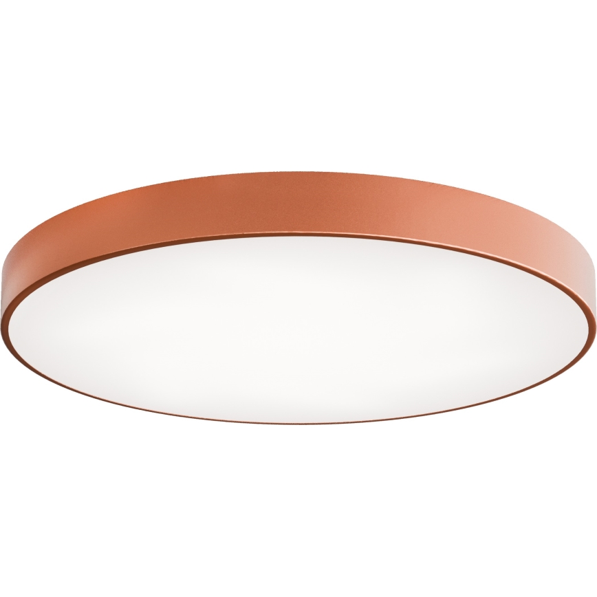 LED Ceiling light CLEO LED/96W/230V 3000K d. 80 cm copper