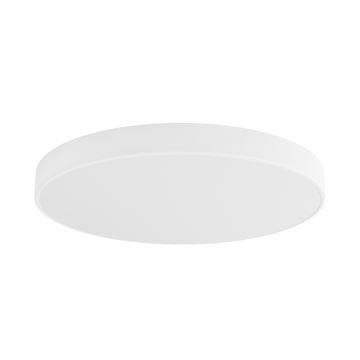 LED Ceiling light CLEO LED/96W/230V 3000K d. 80 cm white