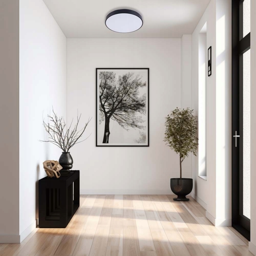 LED Ceiling light FELIZ LED/30W/230V 4000K d. 30 cm black