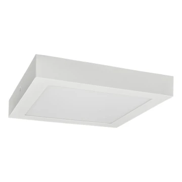 LED Ceiling light FENIX LED/12W/230V 2800K 17 cm