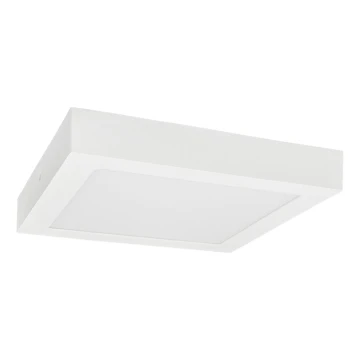 LED Ceiling light FENIX LED/18W/230V 3800K 22,5 cm snow white