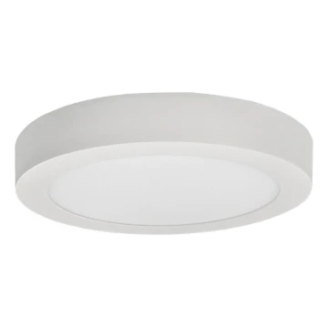 LED Ceiling light FENIX LED/24W/230V 3800K d. 29,8 cm