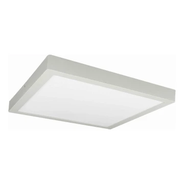 LED Ceiling light FENIX LED/32W/230V 3800K 40 cm white