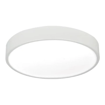 LED Ceiling light LED/16W/230V