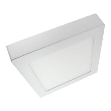 LED Ceiling light LED/24W/230V 6500K