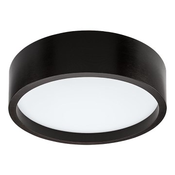 LED Ceiling light LED/35W/230V pine