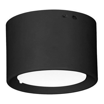 LED Ceiling light LED/6W/230V black d. 8 cm