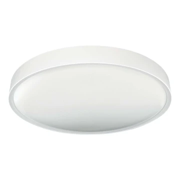 LED Ceiling light SAMER LED/40W/230V 4000K