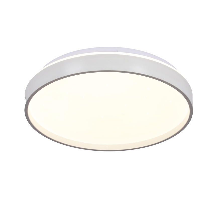 LED Ceiling light TEXAS LED/15W/230V white