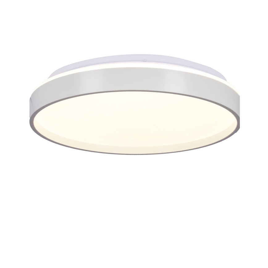 LED Ceiling light TEXAS LED/15W/230V white