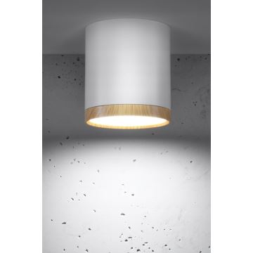 LED Ceiling light TUBA LED/5W/230V white/beige