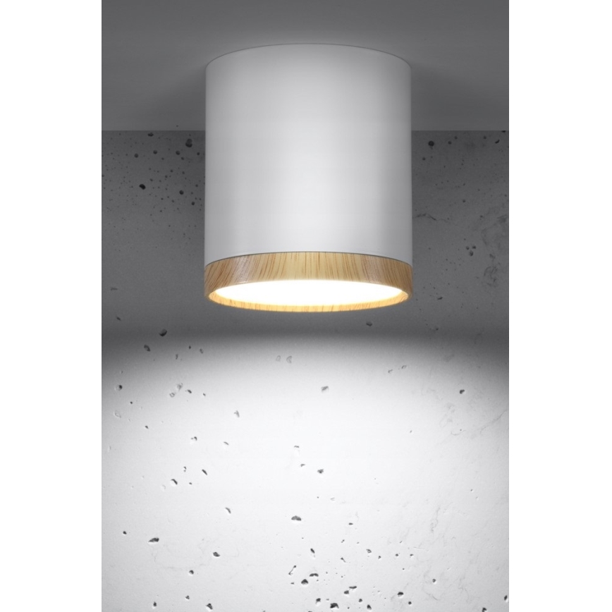 LED Ceiling light TUBA LED/5W/230V white/beige