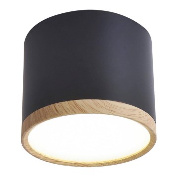 LED Ceiling light TUBA LED/9W/230V