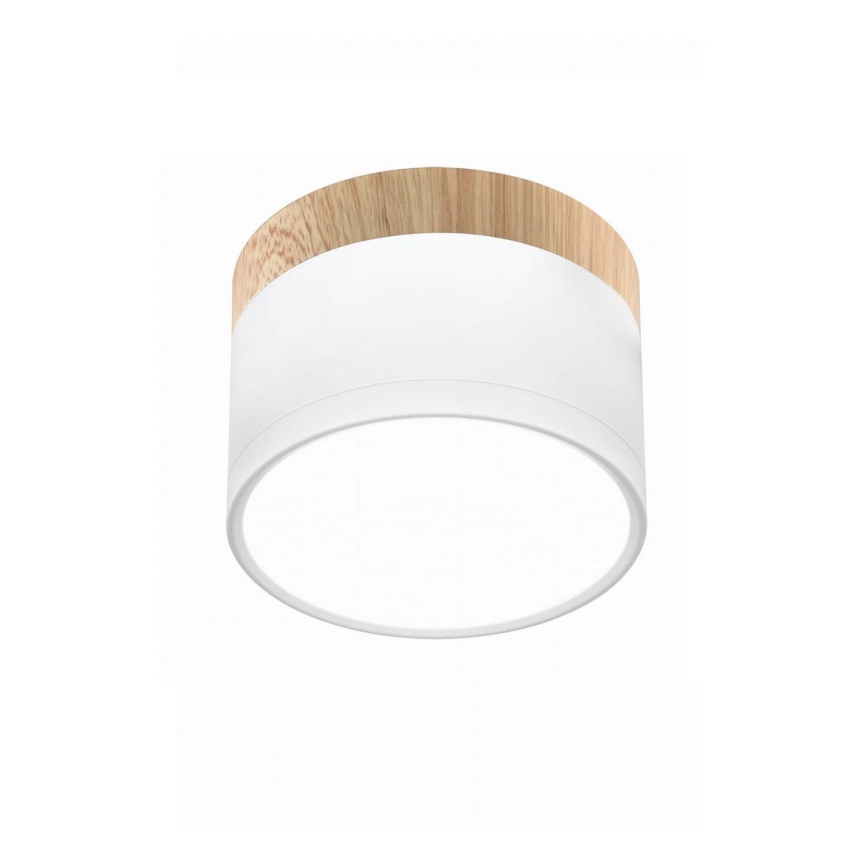 LED Ceiling light TUBA LED/9W/230V white/beige