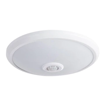 LED ceiling light with sensor LED/14W/230V 4000K