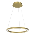 LED Chandelier on a string GALAXIA LED/26W/230V gold