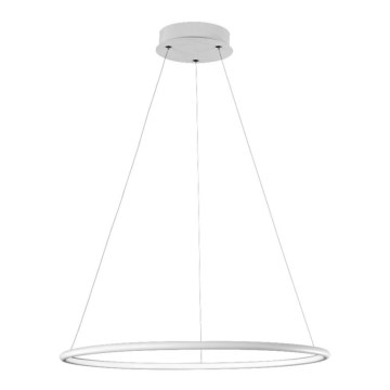 LED chandelier on a string ORION LED/22/230V