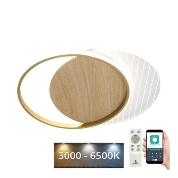 LED Dimmable ceiling light LED/60W/230V 3000-6500K + remote control